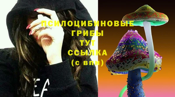 PSILOCYBIN Белоозёрский
