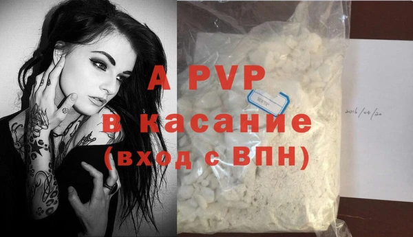 эйфоретик Белокуриха