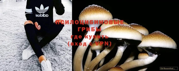 PSILOCYBIN Белоозёрский
